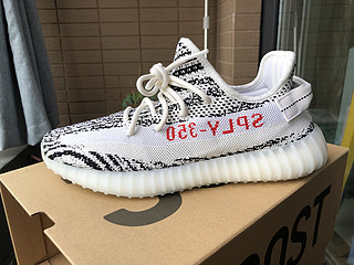 人生第一次中签 我永迪YEEZY 350