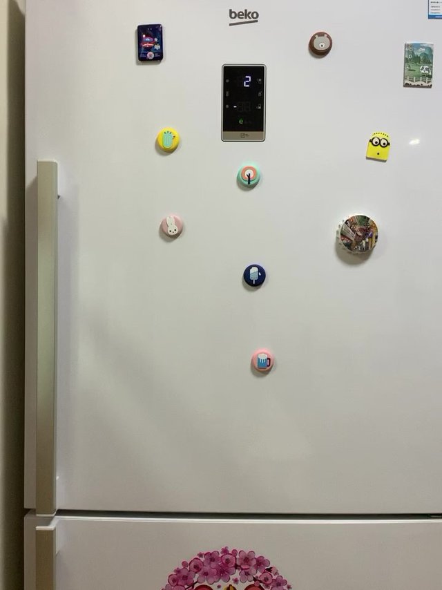 人见人爱花见花开高颜值冰箱-倍科