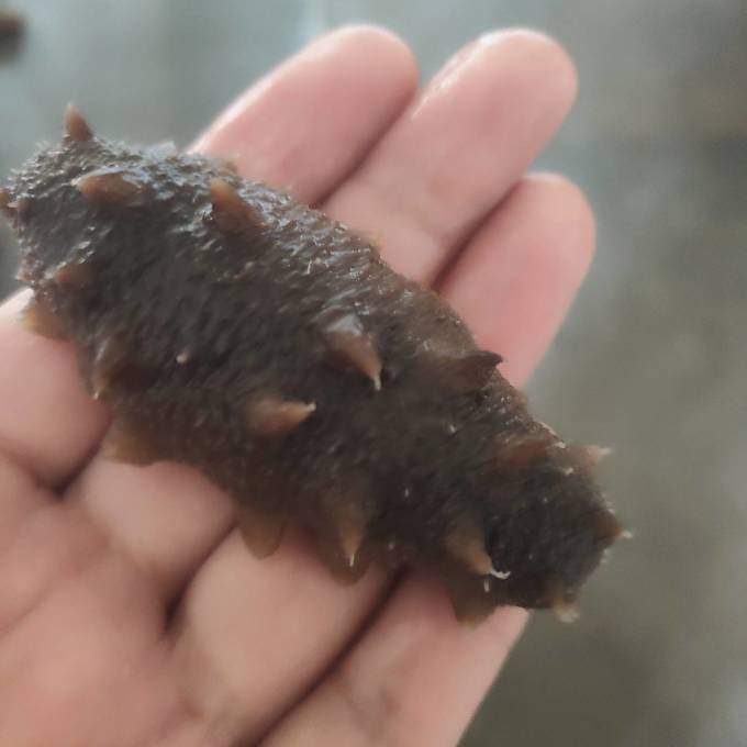 喜玉海鲜水产