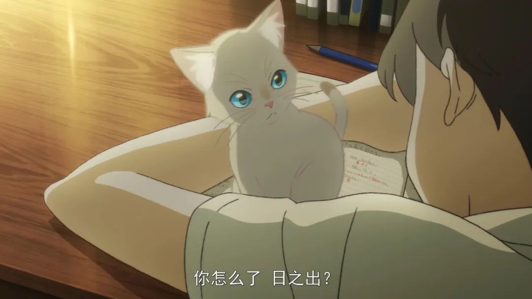 小心身边的宠物，它可能是你的女友...
