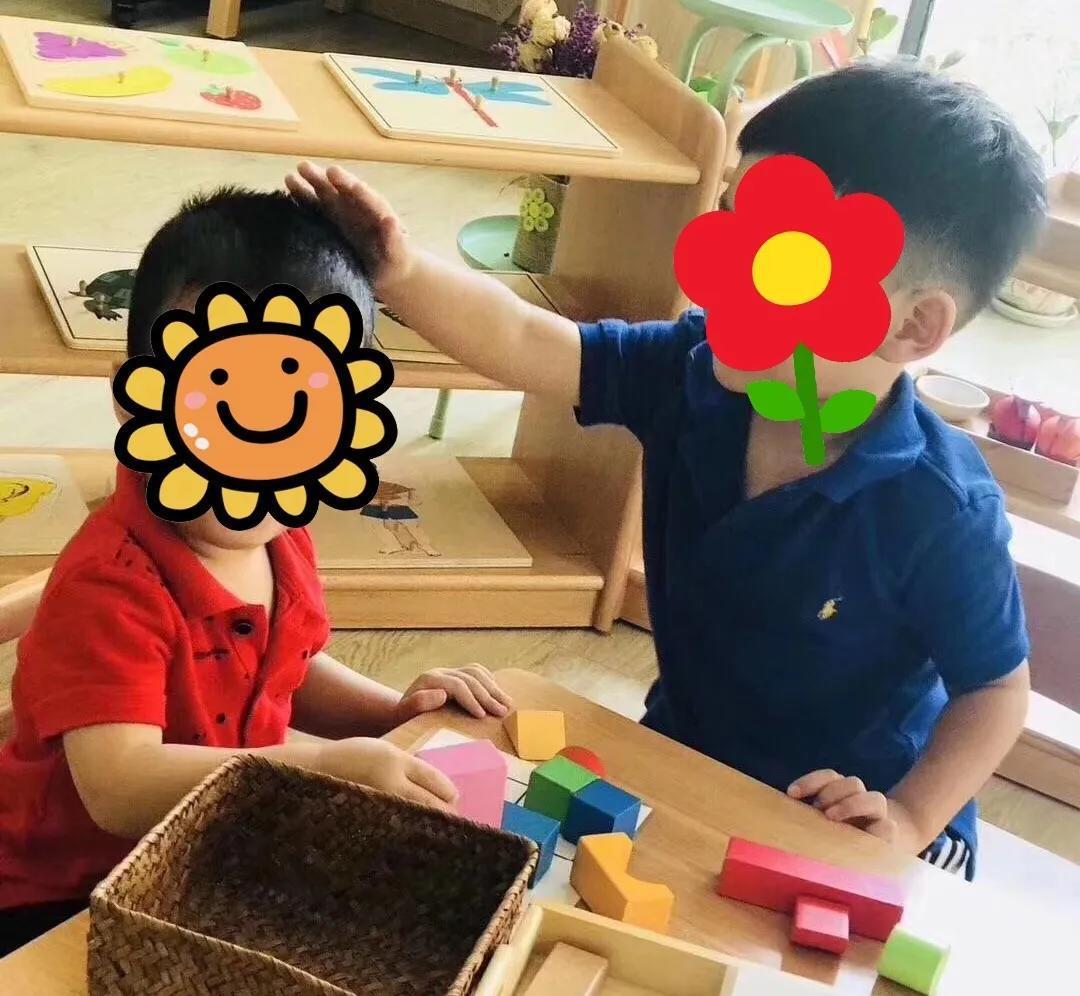 五大领域、蒙台梭利、华德福、高瞻……这些都是啥啥啥?! 一文解答你对幼儿园课程的困惑