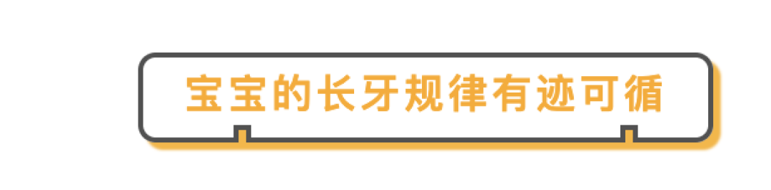 不知道如何添加辅食?让宝宝牙齿数量来帮你忙(附食谱)