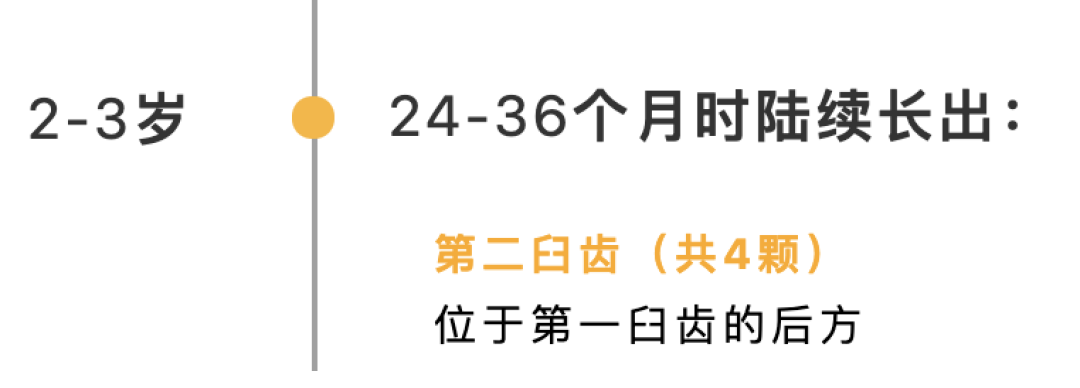 不知道如何添加辅食?让宝宝牙齿数量来帮你忙(附食谱)