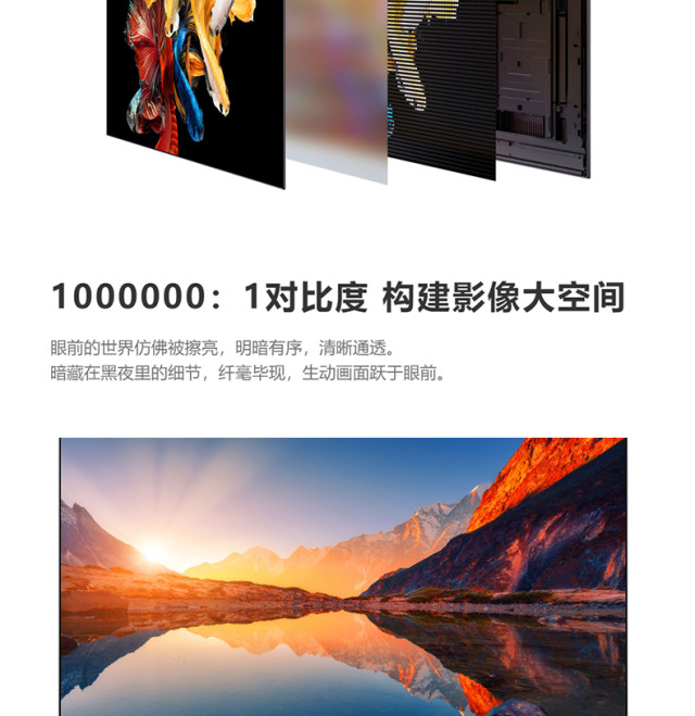 小米电视 大师 65英寸OLED