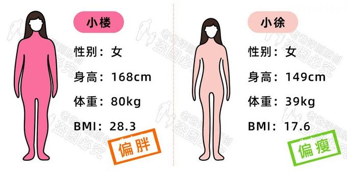 年のベスト 168cm 平均体重男