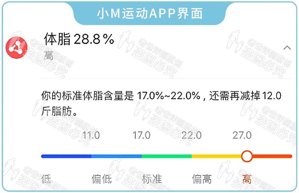 万万没想到，胖子才是那个最适合用体脂秤的人！