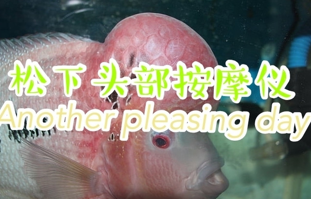 Panasonic/松下头部按摩器头皮按摩器电动头部按摩头皮屑清除