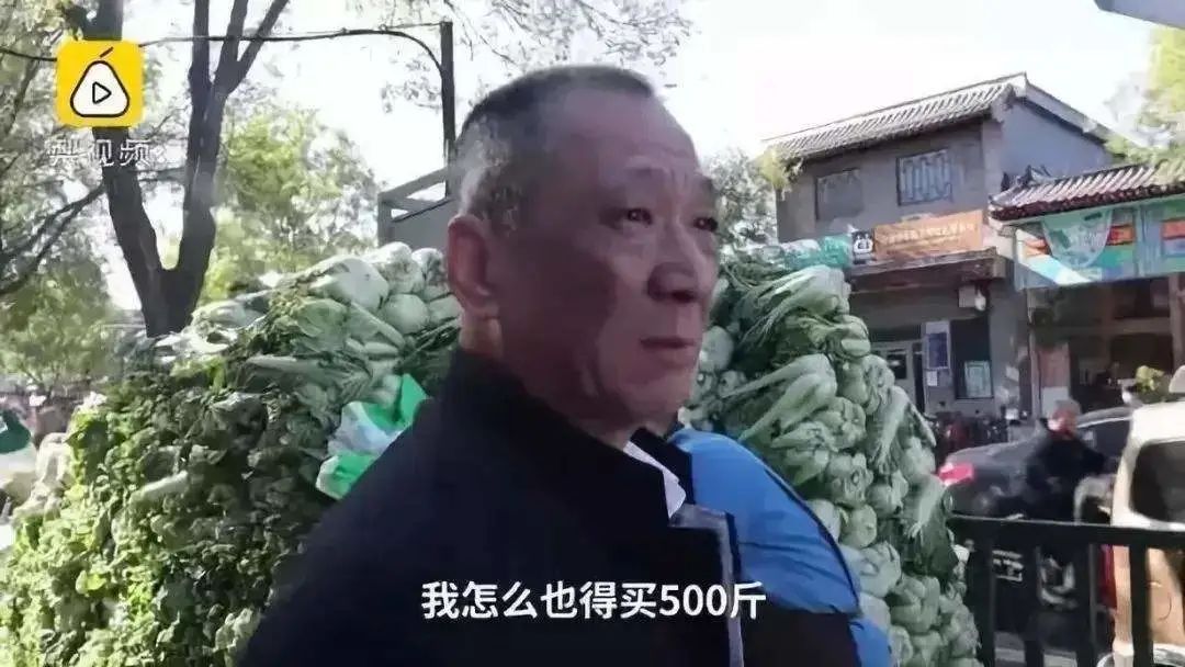 南方论根买，北方论车买，南北菜市场差距究竟有多大？