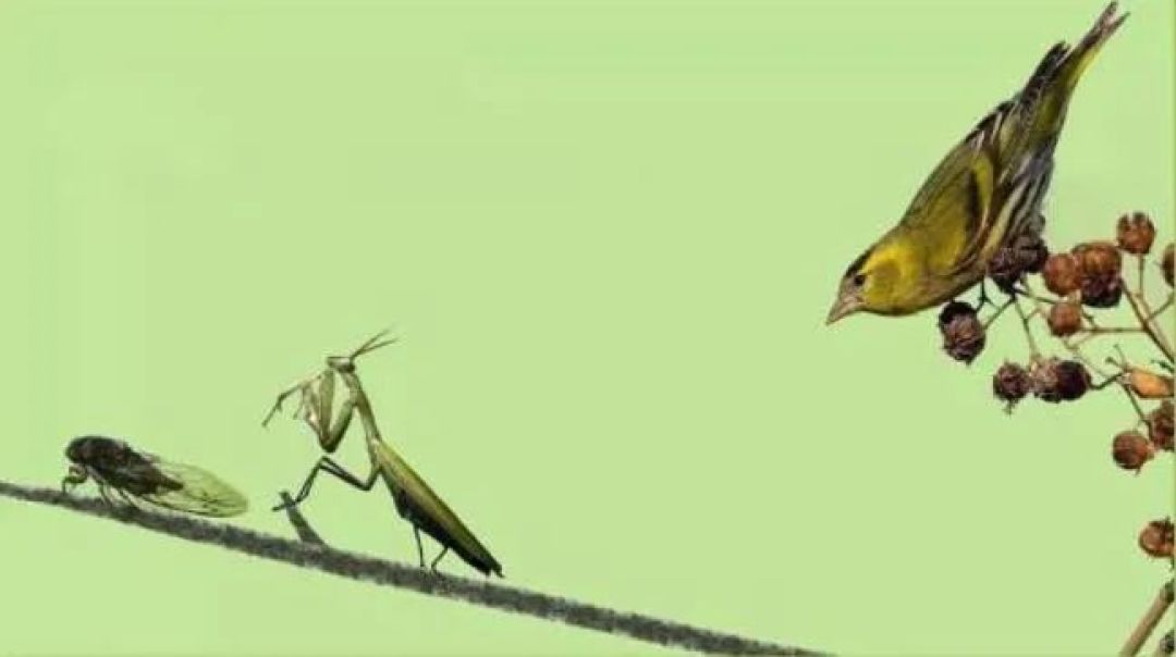 owxaj4美区snkrs正式上架国区大货量曝光发售板上钉钉