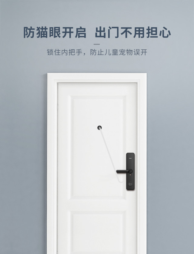 凯迪仕F1 wifi指纹锁家用智能门锁