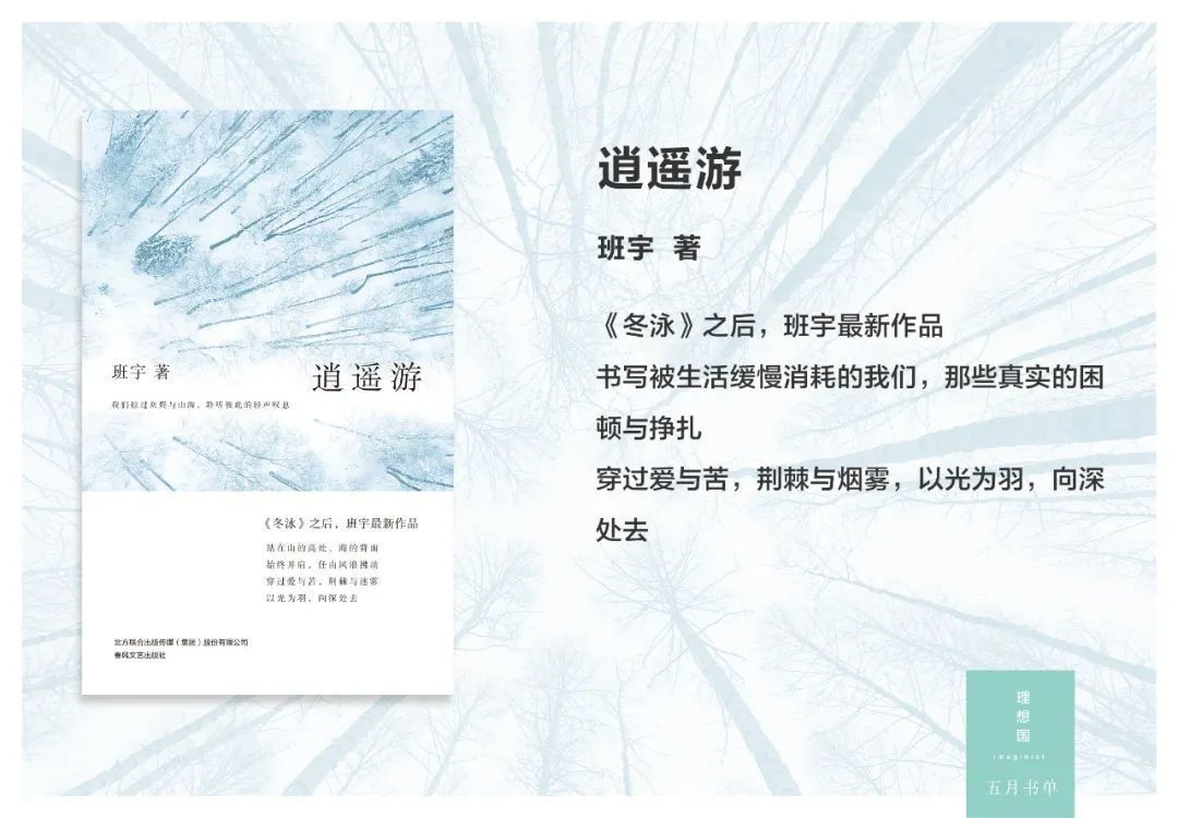 暑期不书荒,理想国25本新作一览,看完可能要all in啦!