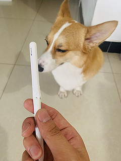 apple pencil 二代更新记