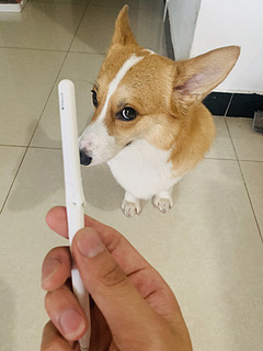 apple pencil 二代更新记