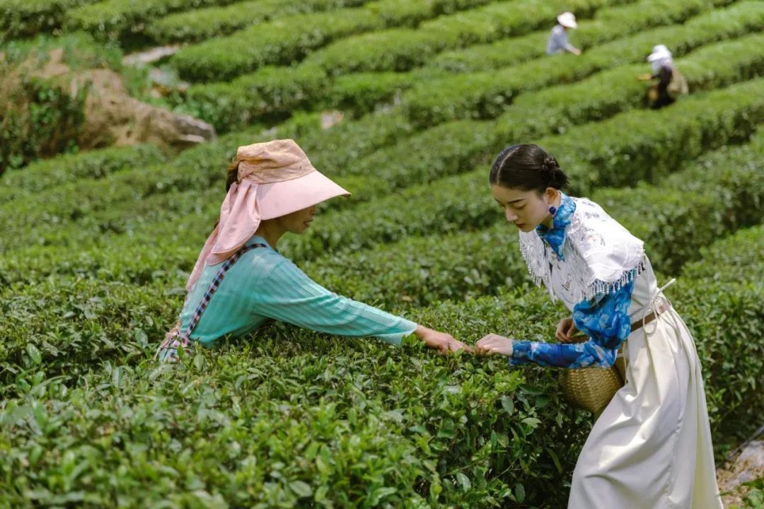 为什么喜茶的饮品高级？