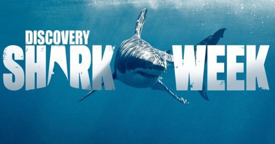 拳皇VS鲨鱼,泰森确定参加《Shark Week》将与鲨鱼正面“PK”