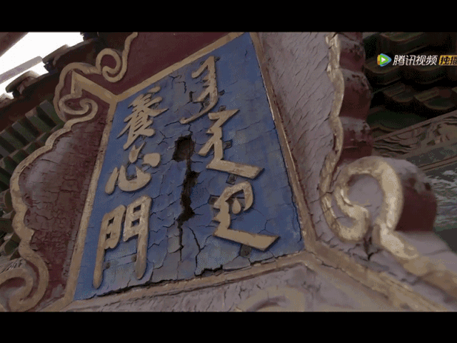 不能错过!2019年的这些【神级】纪录片,一定给娃看起来!