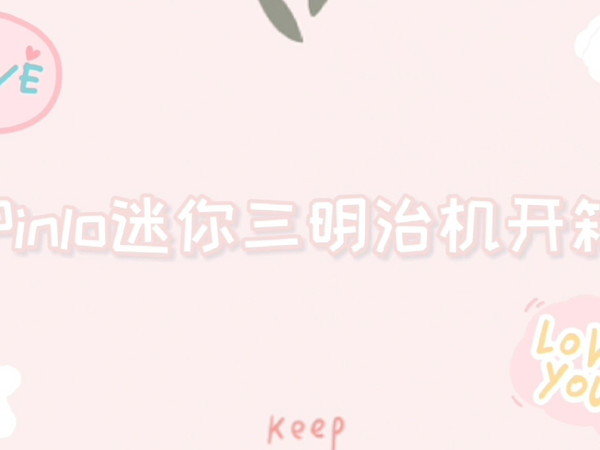 Pinlo迷你三明治机开箱