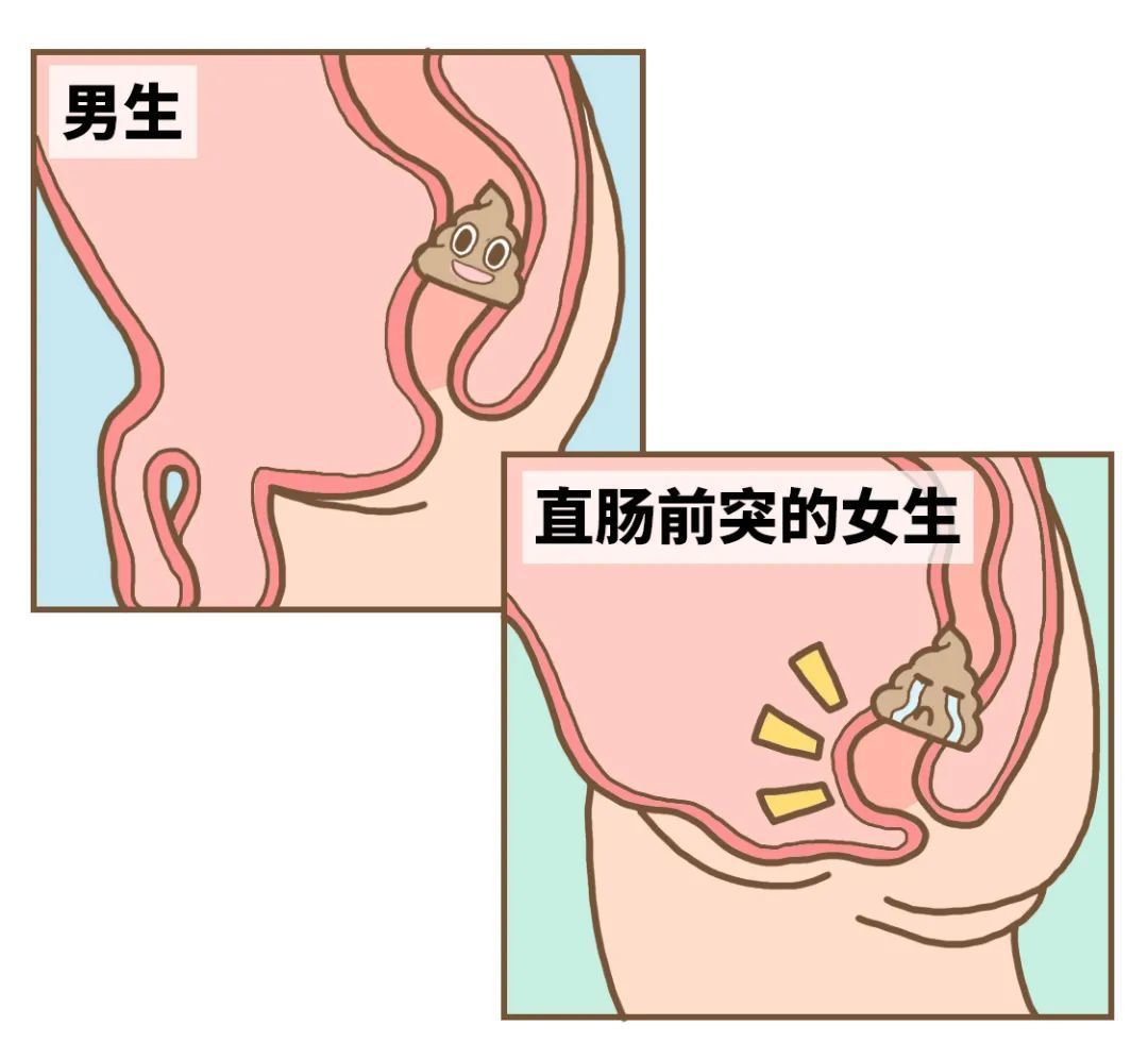 真相揭秘:男生去厕所真的只是拉shi吗?