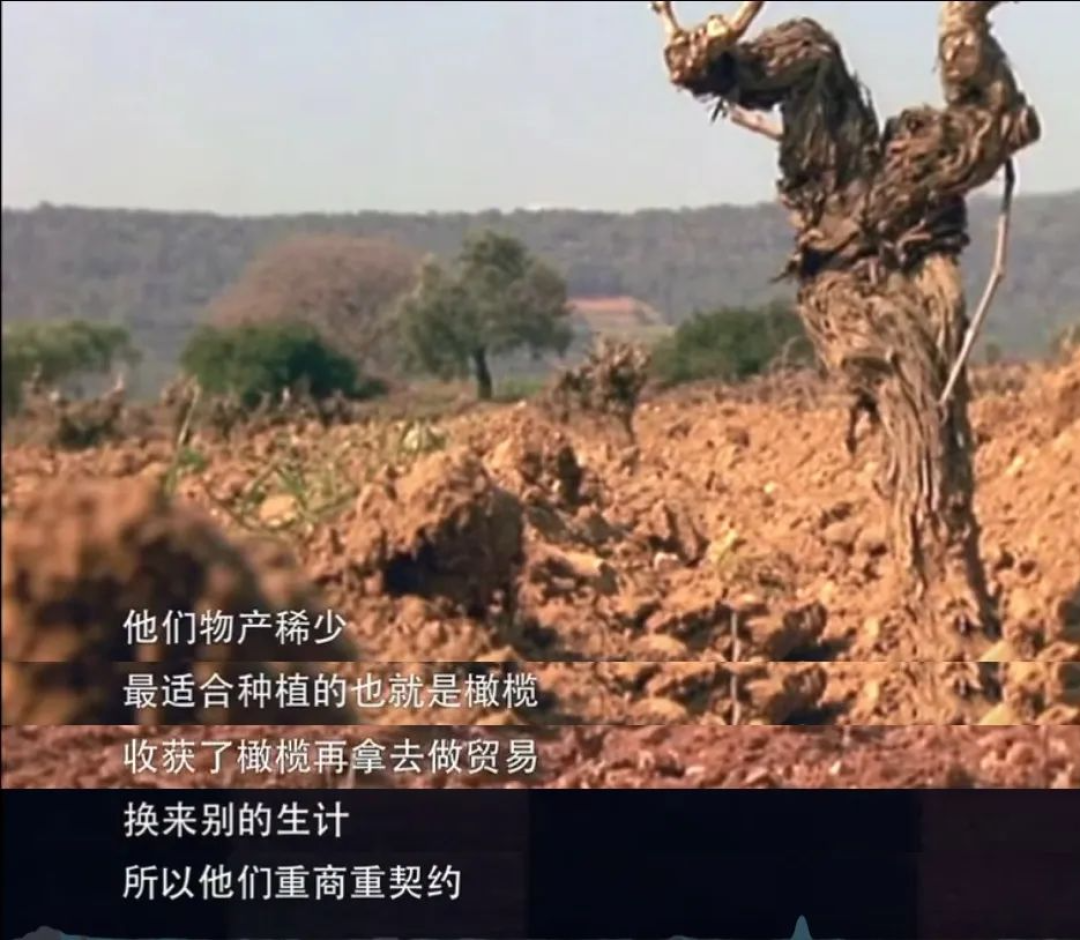 故宫为孩子打造的100集纪录片：中华文化的趣味科普，BBC远比不上