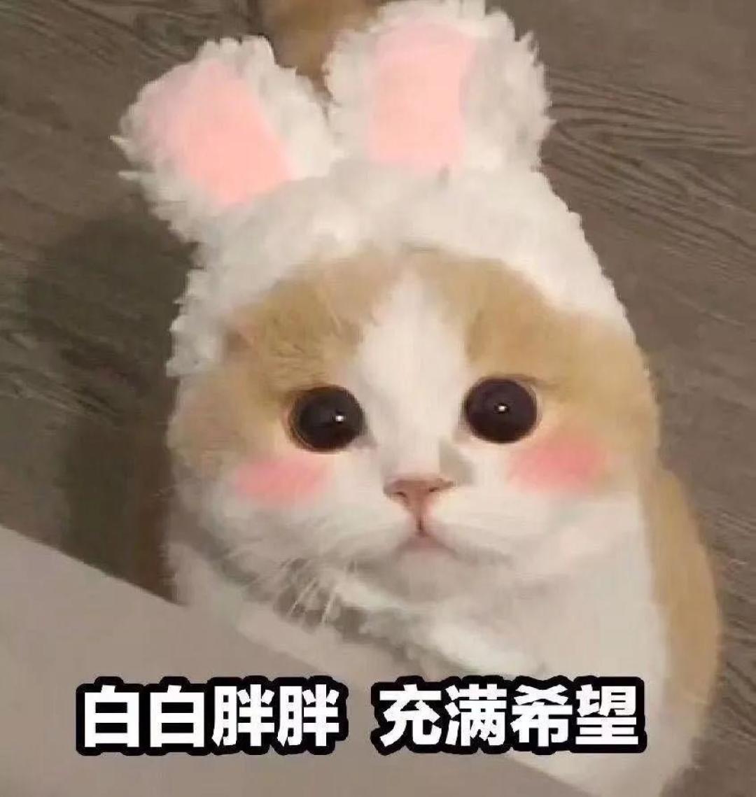 建议收藏丨猫咪绘画素材大全,为孩子留着!做手账也很实用!