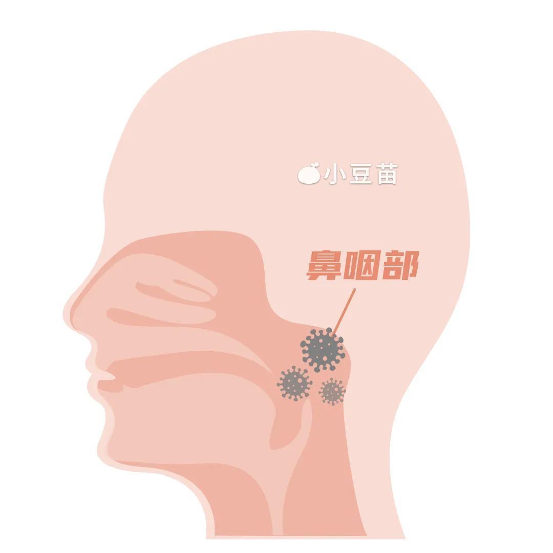 2岁前建议给孩子打这个疫苗，不要让娃暴露在危险中