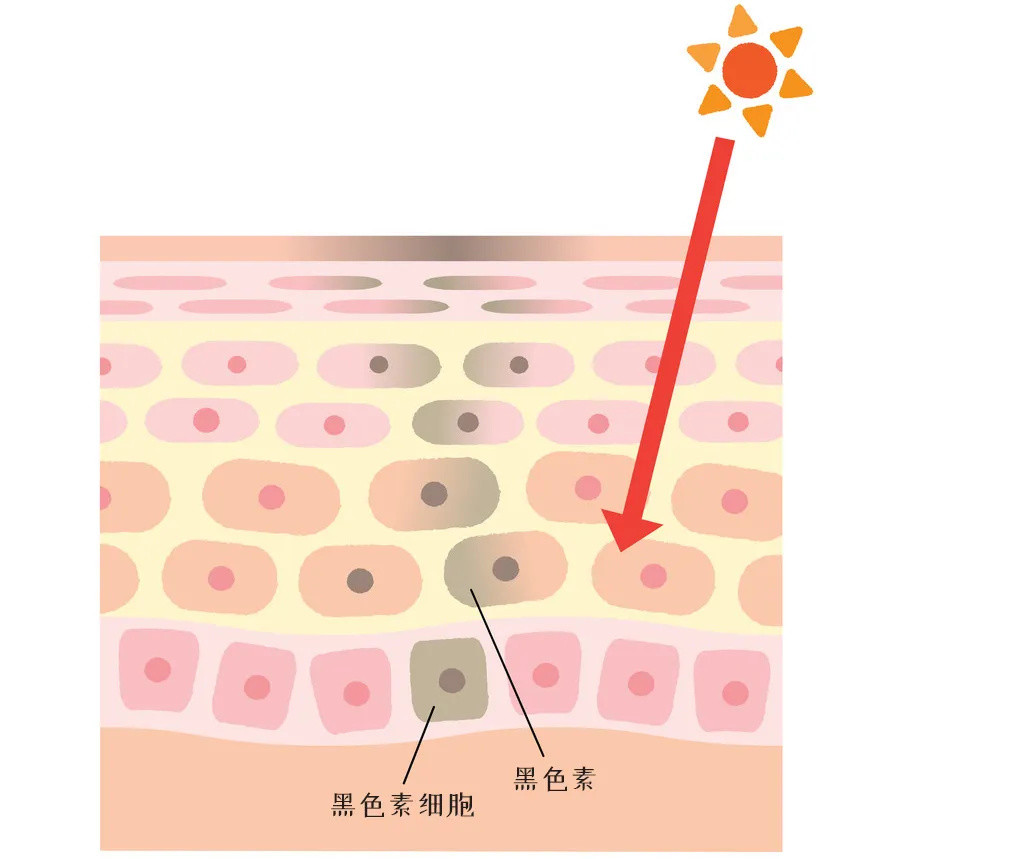 干货来领！护肤品不吸收？水乳烂脸？这都有解决办法的！