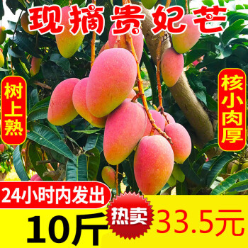 食客:“芒芒”果海,挑你最中意的!