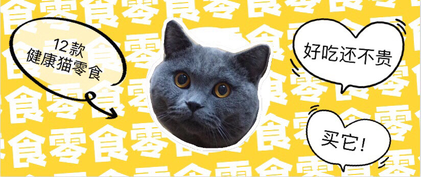 新手养猫指南进阶篇——8款智能好物提升你的养宠幸福感！