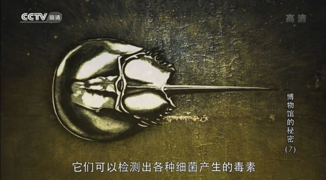 错过8年！这部比电影还好看的纪录片，终于被我发现了 一次带娃逛22个博物馆