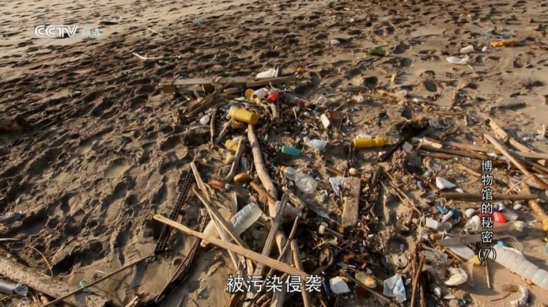 错过8年！这部比电影还好看的纪录片，终于被我发现了 一次带娃逛22个博物馆