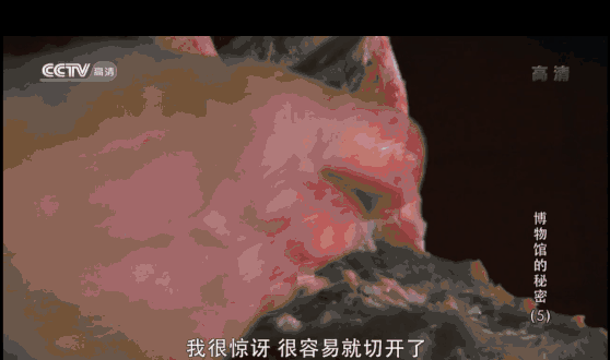 错过8年！这部比电影还好看的纪录片，终于被我发现了 一次带娃逛22个博物馆