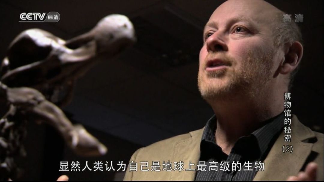错过8年！这部比电影还好看的纪录片，终于被我发现了 一次带娃逛22个博物馆