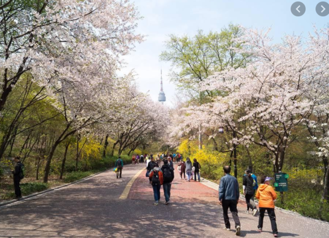 韩国僵尸电影《活着》里的那些大战僵尸的户外装备
