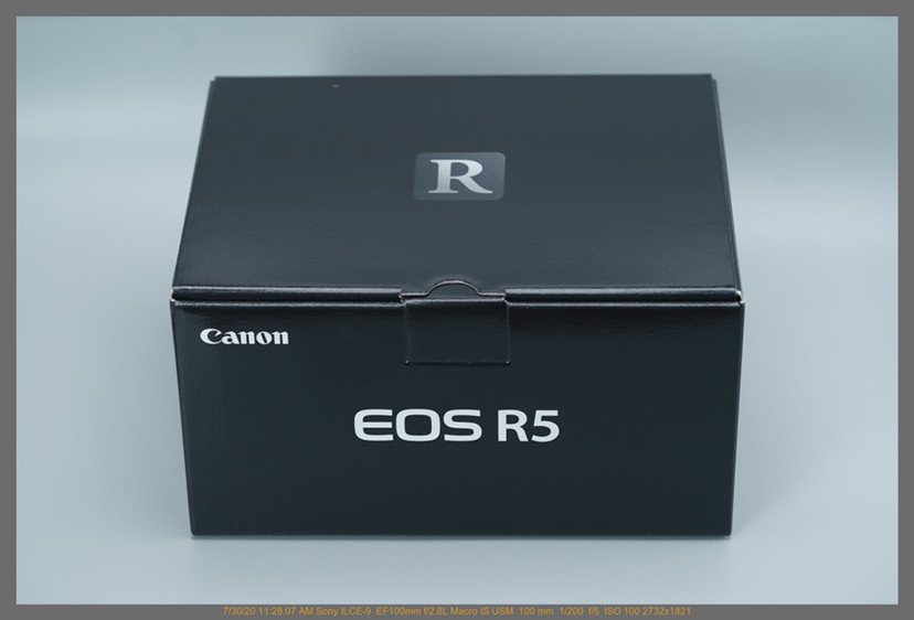 是什么让我疯狂爱上EOS R5之后，却更想要a7S3了？