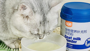 一口就爱上的羊奶粉，专治讨厌喝水的猫！