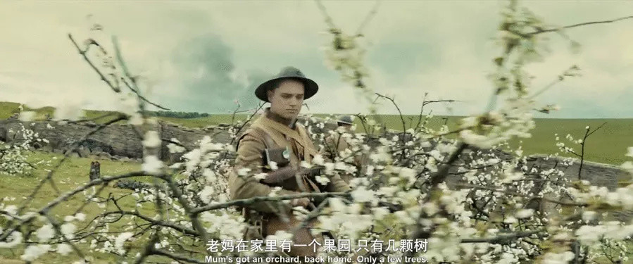 《1917》为什么一定要去大银幕看？