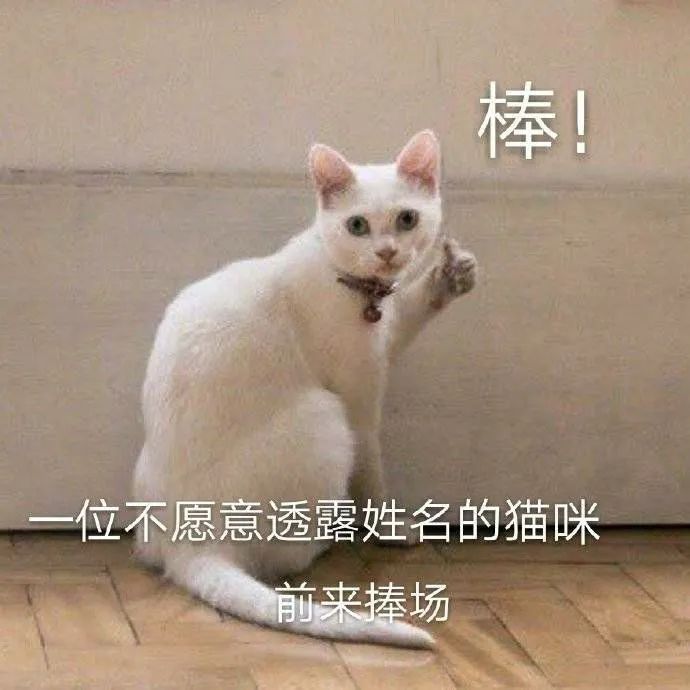 猫咪每天给我送只蟑螂当早餐，我该不该吃了？