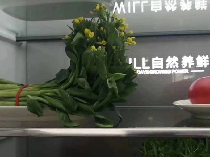 容声厨电双门冰箱