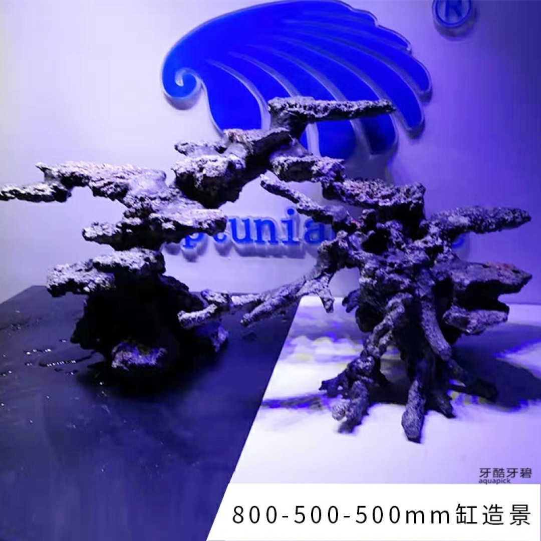 海水水族箱设备推荐及生态系统建立新手教程