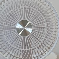 三十而已的打开方式：edon悬浮落地扇外加空调西瓜，舒适看个够