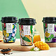  茶π推出全新杯装系列，口味包装双重焕新！　
