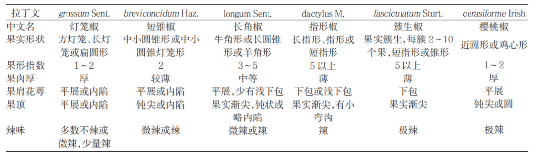 向海南黄灯笼椒黑恶势力低头
