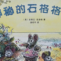 一本属于二年级自主阅读关于冒险的绘本-《神秘的石格格岛》