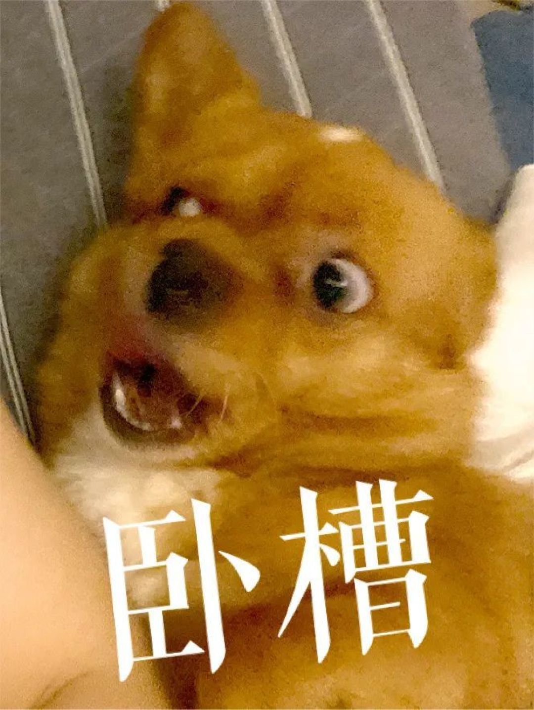 韦德之道9配置概念曝光:做时代浪潮的先行者?