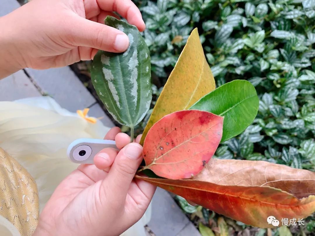 好看到忘关电视！我和娃还现学现用上了瘾，这部宝藏动画片，你还不知道就太可惜了