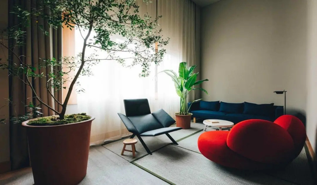 这家北欧人设计的东京酒店里，绿植摆放的高级之处在哪里？