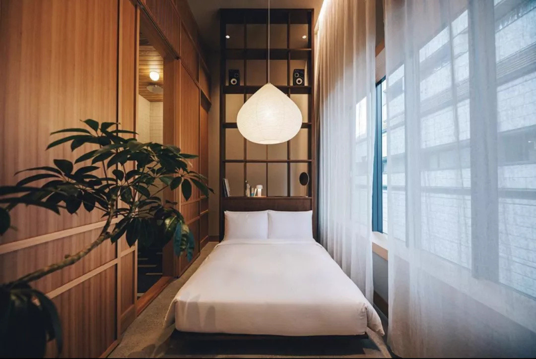 这家北欧人设计的东京酒店里，绿植摆放的高级之处在哪里？