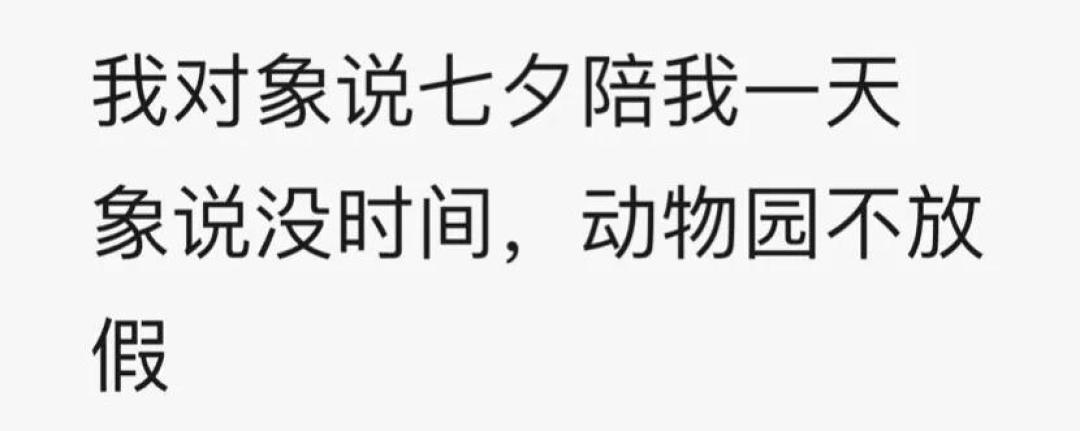 没人能抗拒这样的七夕礼物!情人节送礼“指南”来咯!