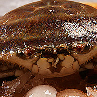 “蟹天蟹地”你来了！舟山开海第一波梭子蟹已到货，“第一个吃螃蟹的人”是你吗？