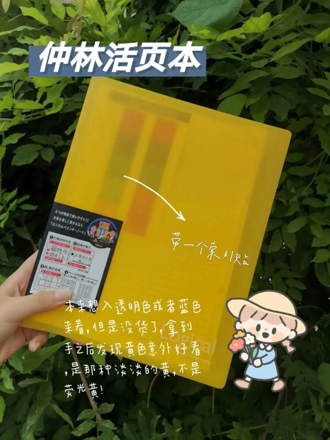 仲林笔记本超全测评(颜值也太高了吧)